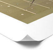 Fuerteventura, Canarische eilanden, kust Poster (Hoek)