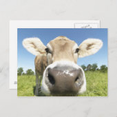 Fuessen, Beieren, Duitsland Briefkaart (Voorkant / Achterkant)