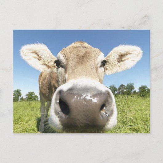 Fuessen, Beieren, Duitsland Briefkaart (Voorkant)