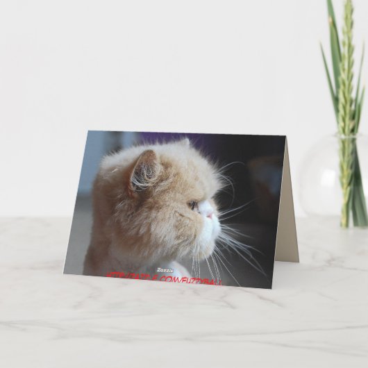 Fuggeddaboudit Perzische Kat Humor Kaart (Achterkant)