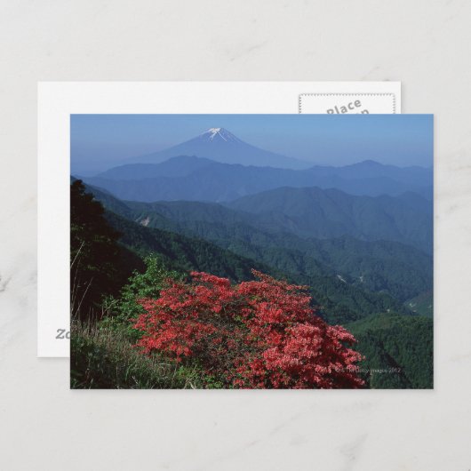 Fuji Briefkaart (Voorkant / Achterkant)