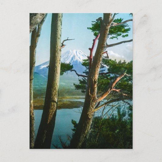 Fuji Through the Morning Bossen  Japan Briefkaart (Voorkant)