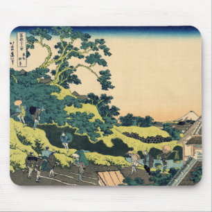 Fuji van Mishima Pass Muismat