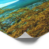 Fuji Volcano Japan Pagoda Poster (Hoek)