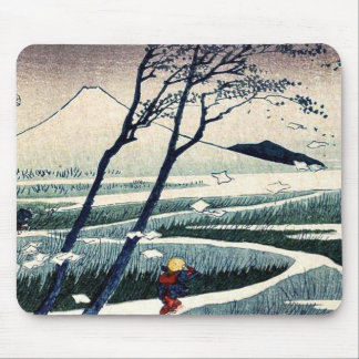 Fukeiga door Katsushika, Hokusai Ukiyoe Muismat