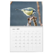 Fulger på Reigstad - Kalender 2021 (Mar 2027)