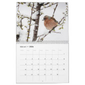 Fulger på Reigstad - Kalender 2021 (Feb 2026)