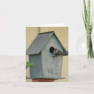FULL BIRDHOUSE BLANK NOTECARD KAART