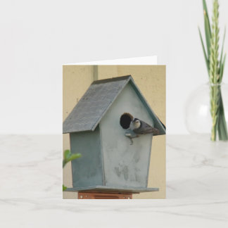FULL BIRDHOUSE BLANK NOTECARD KAART