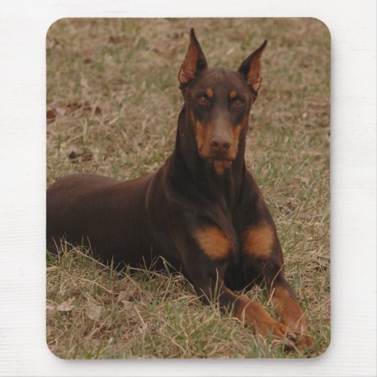 Full Color Red en Rust Doberman Pinscher Muismat (Voorkant)