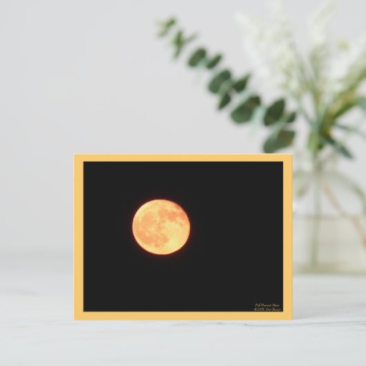 Full Harvest Moon Briefkaart (Staand voorkant)