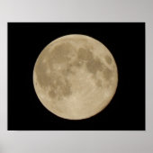 Full Harvest Moon Poster (Voorkant)