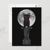Full Moon  Cat 2026  Postcard Briefkaart (Voorkant / Achterkant)