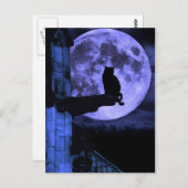 Full Moon Cat Briefkaart (Voorkant / Achterkant)