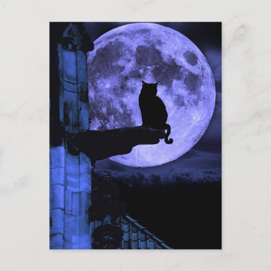 Full Moon Cat Briefkaart (Voorkant)