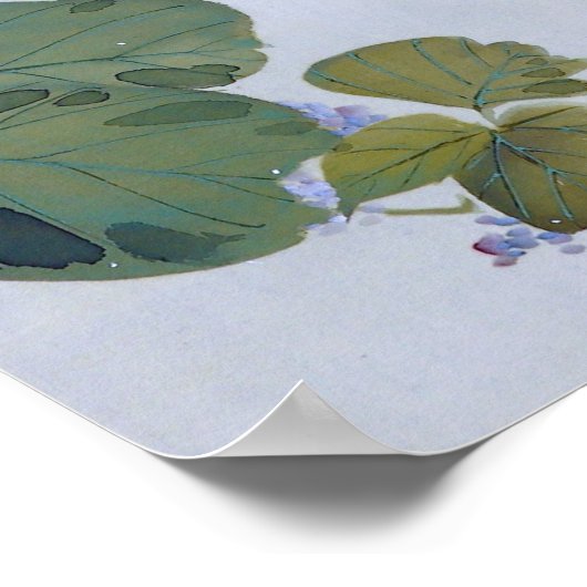 Full Moon en Kudzu Flower, Watanabe Seitei Poster (Hoek)