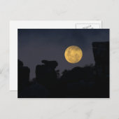 Full Moon in Wilderness, Zuid-Afrika Briefkaart (Voorkant / Achterkant)