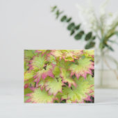 Full Moon Maple Briefkaart (Staand voorkant)
