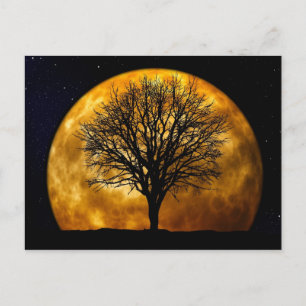 Full Moon Midnight Briefkaart