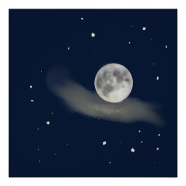 Full moon night  perfect poster
