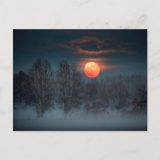 Full Moon | November in Scalenghe, Italy Briefkaart (Voorkant)