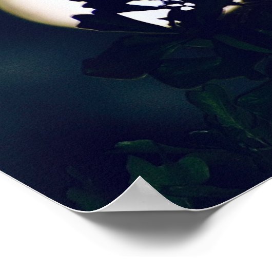 Full Moon Photography Poster print voor framing (Hoek)