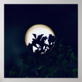 Full Moon Photography Poster print voor framing (Voorkant)