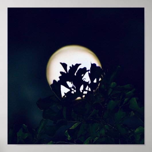 Full Moon Photography Poster print voor framing (Voorkant)