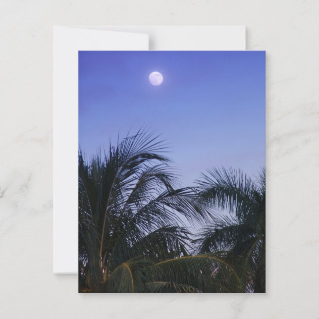 Full Moon Rises (Voorkant)