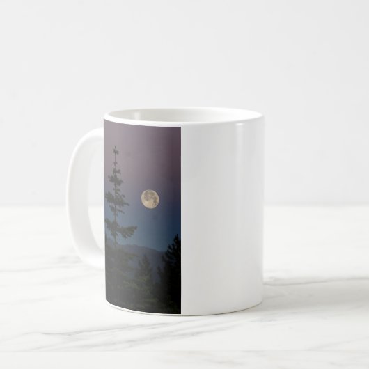 Full Moon/Summer Solstice 2016 Mt Shasta Mok (Voorkant links)