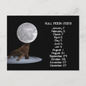 Full Moon Walrus Calendar 2023 Briefkaart (Voorkant)