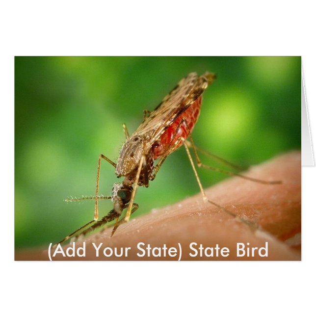 Full Mosquito - State Bird (Voorkant Horizontaal)