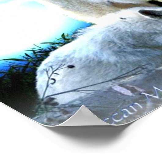 Full Wolf Moon Large Poster (Hoek)