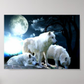 Full Wolf Moon Poster (Voorkant)