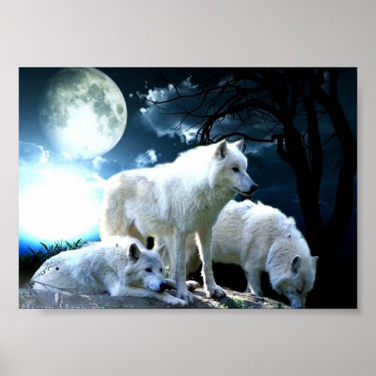 Full Wolf Moon Poster (Voorkant)