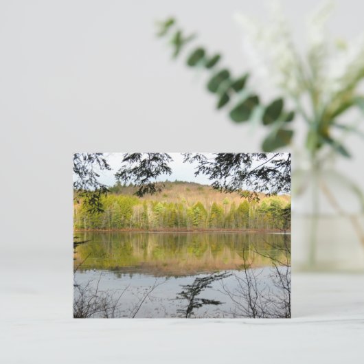 Fullam Pond Reflections Briefkaart (Staand voorkant)