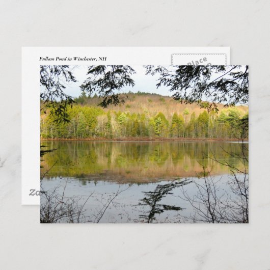 Fullam Pond Reflections Briefkaart (Voorkant / Achterkant)