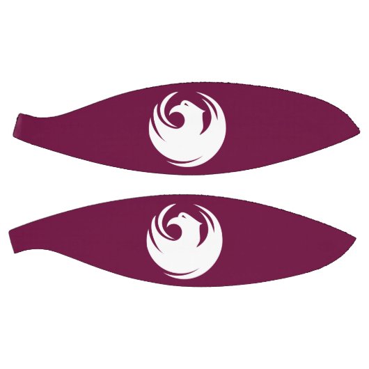 Fullsize Basketball with Flag of Phoenix City Basketbal (Panelen)