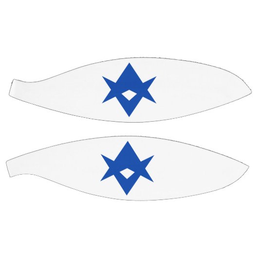 Fullsize Basketball with Flag of Toyota City Basketbal (Panelen)