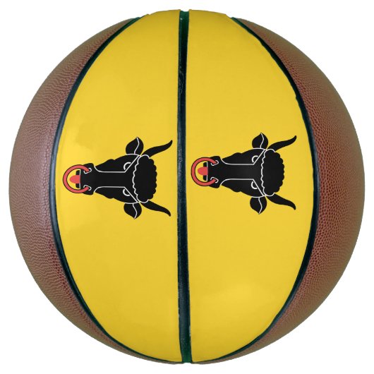 Fullsize Basketball with Flag of Uri Canton Basketbal (Verticaal)