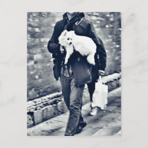 fullsizeoutput_c78 Zwart-witpommeren Briefkaart