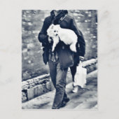 fullsizeoutput_c78 Zwart-witpommeren Briefkaart (Voorkant)