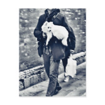 fullsizeoutput_c78 Zwart-witpommeren