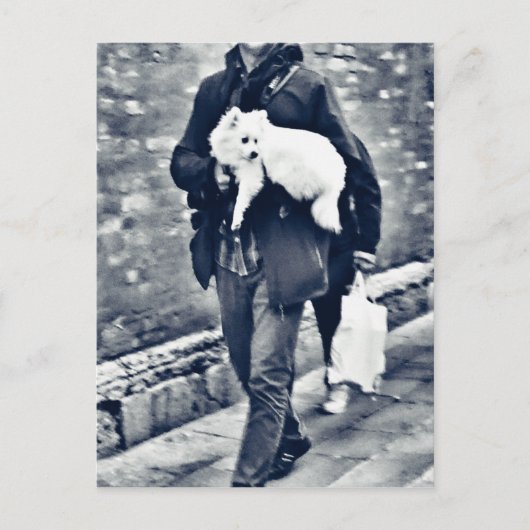 fullsizeoutput_c78 Zwart-witpommeren Briefkaart (Voorkant)