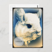 FullSizeRender Chinchilline Briefkaart (Voorkant / Achterkant)
