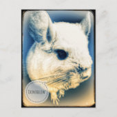 FullSizeRender Chinchilline Briefkaart (Voorkant)