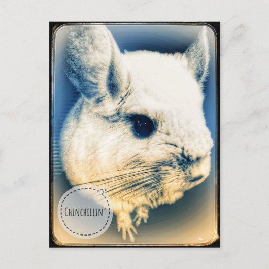 FullSizeRender Chinchilline Briefkaart (Voorkant)