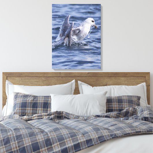 Fulmar natuur foto canvas print (Insitu (Slaapkamer))