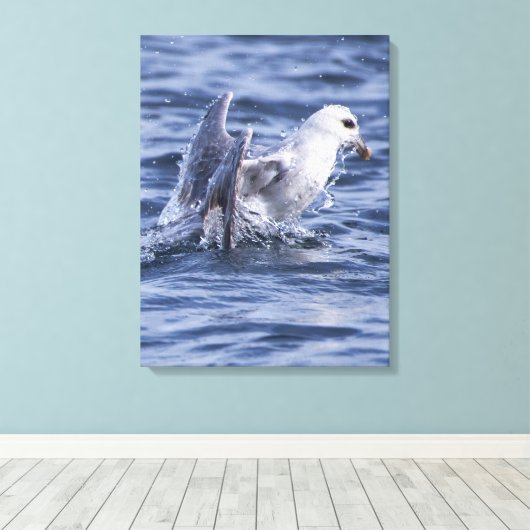 Fulmar natuur foto canvas print (Insitu (Houten vloer))