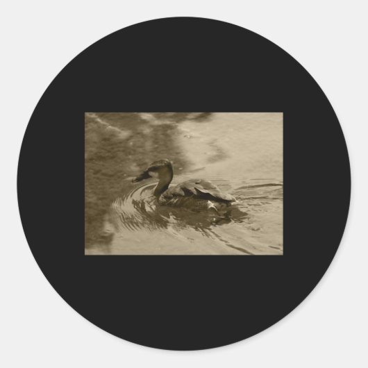 Fulvous Whistling Duck Valencia Tint Sticker (Voorkant)
